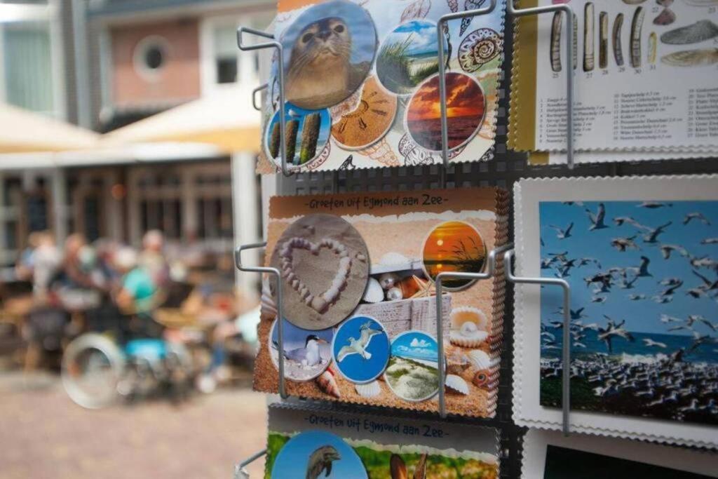 Gastenverblijf Janssen In Schagen Dış mekan fotoğraf